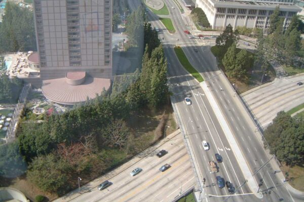 Fox Behind the Scenes-25