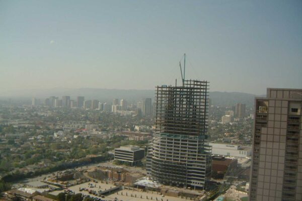 Fox Behind the Scenes-26