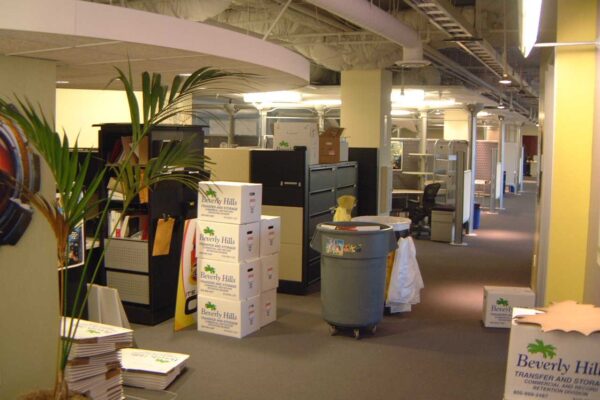 Fox Behind the Scenes-41