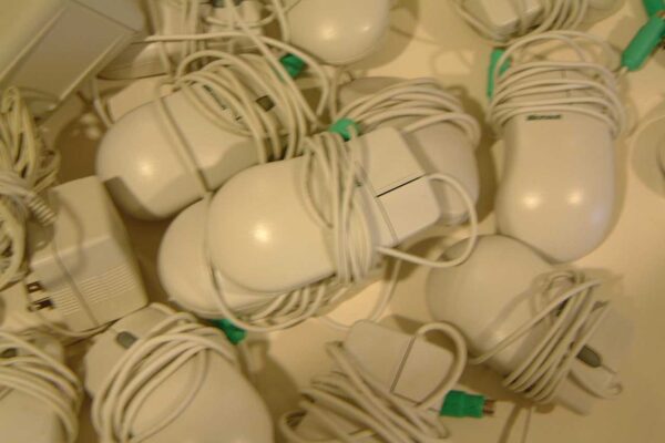 Fox Behind the Scenes-43