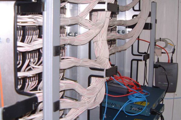 Fox Behind the Scenes-45